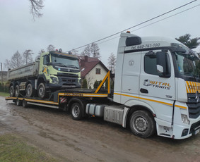 Tralas Europoje ir Lietuvoje / Uab Translita / Darbų pavyzdys ID 3916214