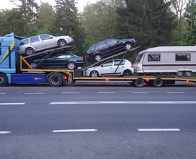 Tralas Europoje ir Lietuvoje / Uab Translita / Darbų pavyzdys ID 3916218