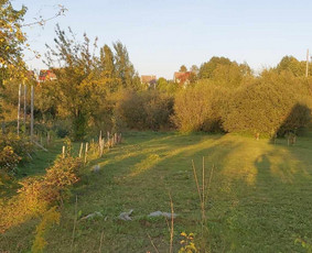 Tvarkingi Sklypai Panevėžyje / Egidijus Ablėnas / Darbų pavyzdys ID 3917724