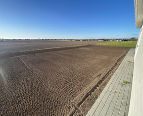 Vejos įrengimas, trinkelių klojimas / Dirvita / Darbų pavyzdys ID 3918460