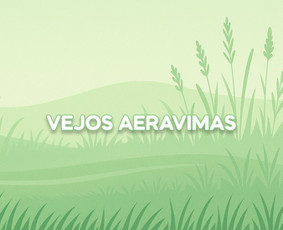 Vejos priežiūra Šiauliuose, Šiaulių rajone - Vejos aeravimas - 1 Vejos aeravimas - Vejos priežiūra Šiauliuose, Šiaulių rajone - 1