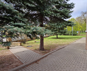 Aplinkos priežiūros darbai, žolės pjovimas / Ingridas Kazlauskas / Darbų pavyzdys ID 3919292