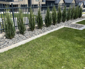 Kra&scaron;tovaizdžio projektavimas - Aplinkos tvarkymas, apželdinimas - 4