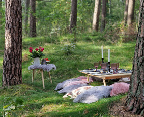 Pikniko dekoro paslaugos - Dekoracijų nuoma - 3 Dekoracijų nuoma - Pikniko dekoro paslaugos - 3