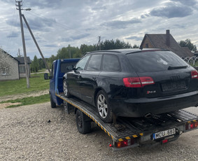 Tralo paslaugos klaipedoje ir visoje lietuvoje / Domantas / Darbų pavyzdys ID 3919858