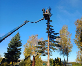 Vejos, žolės, krūmų, medžių pjovimas / Audrius / Darbų pavyzdys ID 3920196