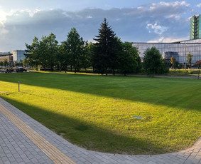 Žolės pjovimas - Medžių, krūmų pjovimas, genėjimas, apleistų sklypų tvarkymas - 3