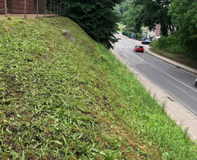 Vejos, žolės, krūmų, medžių pjovimas / Audrius / Darbų pavyzdys ID 3920210