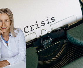 Verslo krizės ir sprendimai / Ieva Sillipp / Darbų pavyzdys ID 3920922