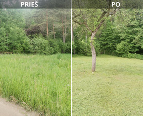 Žolės Pjovimas Su Trimeriu Ir Žoliapjove / Mindaugas / Darbų pavyzdys ID 3921274