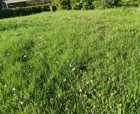 Pievų šienavimas - Žolės Pjovimas Su Trimeriu Ir Žoliapjove - 3