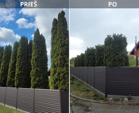 Vaismedžiu genėjimas,tuju gyvatvorių,krūmų kirpimas! / Vitalijus Juodaitis / Darbų pavyzdys ID 3921394