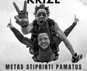 Verslo krizės ir sprendimai / Ieva Sillipp / Darbų pavyzdys ID 3922032