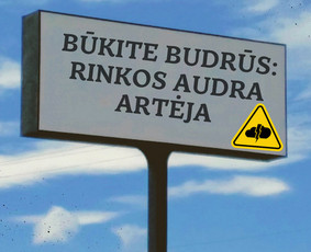 Verslo krizės ir sprendimai / Ieva Sillipp / Darbų pavyzdys ID 3922196