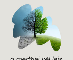 Verslo krizės ir sprendimai / Ieva Sillipp / Darbų pavyzdys ID 3922230
