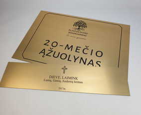 Spauda ant marškinėlių, džemperių, kepurėlių nuo 1 vieneto / UAB "Agrava" / Darbų pavyzdys ID 3926762
