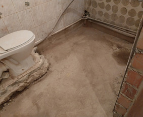 Griovimo darbai šiukšliu išvežimas / Audrius / Darbų pavyzdys ID 3750299
