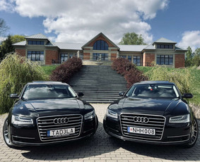 Auto vestuvėms / Automobilių nuoma / Darbų pavyzdys ID 3928806