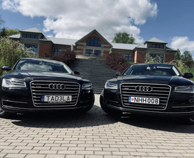 Auto vestuvėms / Automobilių nuoma / Darbų pavyzdys ID 3928808