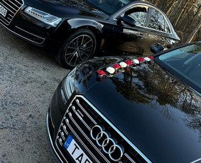 Auto vestuvėms / Automobilių nuoma / Darbų pavyzdys ID 3928834