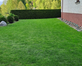Gyvatvorių karpymas, žeminimas, formavimas / Vytautas R. / Darbų pavyzdys ID 3929928