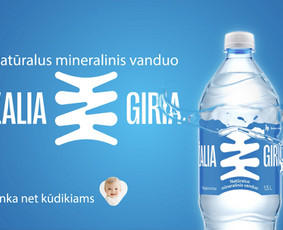 Animacijos ir video kūrimas, reklamos ir prezentacijos - Paslaugos verslui - 3 Paslaugos verslui - Animacijos ir video kūrimas, reklamos ir prezentacijos - 3