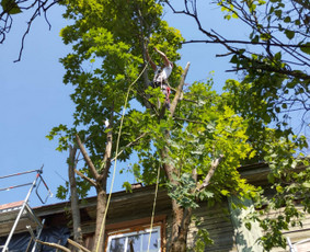 Aukštalipių paslaugos Pramoninis alpinizmas - Iškabų, reklaminių tentų montavimas ir demontavimas - 4 Iškabų, reklaminių tentų montavimas ir demontavimas - Aukštalipių paslaugos Pramoninis alpinizmas - 4