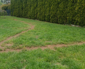 Viskas Jūsų kiemui nuo pagrindų / Mikosta / Darbų pavyzdys ID 3931660