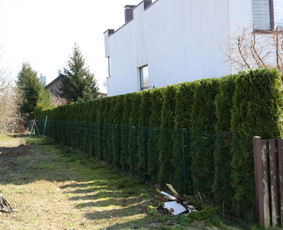 Gyvatvorių karpymas, vaismedžių/medžių genėjimas, šienavimas / Pavelas / Darbų pavyzdys ID 3932030