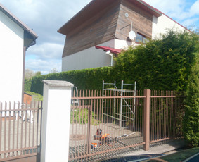 Gyvatvorių karpymas, vaismedžių/medžių genėjimas, šienavimas / Pavelas / Darbų pavyzdys ID 3932036