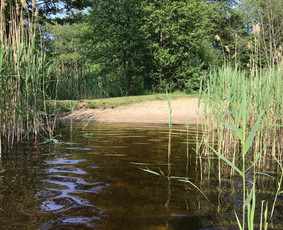 Sodybos nuomai - Poilsiavietė - 4
