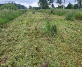 Statybos, apdaila - Pjauname auk&scaron;ta žole su mulčeriu ir trimeriu - 3