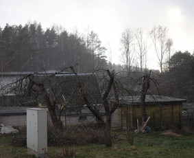 Gyvatvorių karpymas, vaismedžių/medžių genėjimas, šienavimas / Pavelas / Darbų pavyzdys ID 3933180