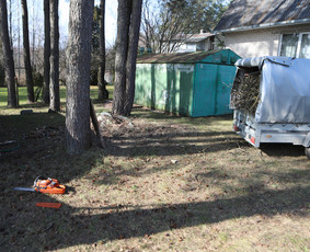 Gyvatvorių karpymas, vaismedžių/medžių genėjimas, šienavimas / Pavelas / Darbų pavyzdys ID 3933186