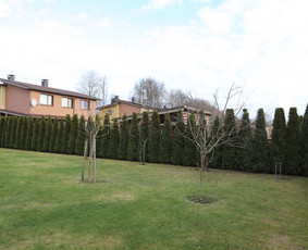 Gyvatvorių karpymas, vaismedžių/medžių genėjimas, šienavimas / Pavelas / Darbų pavyzdys ID 3933188
