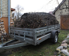 Gyvatvorių karpymas, vaismedžių/medžių genėjimas, šienavimas / Pavelas / Darbų pavyzdys ID 3933190
