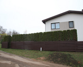 Gyvatvorių karpymas, vaismedžių/medžių genėjimas, šienavimas / Pavelas / Darbų pavyzdys ID 3933206
