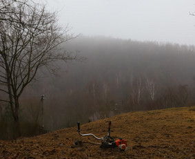 Gyvatvorių karpymas, vaismedžių/medžių genėjimas, šienavimas / Pavelas / Darbų pavyzdys ID 3933192