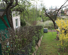 Gyvatvorių karpymas, vaismedžių/medžių genėjimas, šienavimas / Pavelas / Darbų pavyzdys ID 3933172