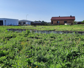 Vejos pjovimas skarifikavims aeravimas atsėjimas tręšimas. - Apleistų sklypų tvarkymas - 4 Apleistų sklypų tvarkymas - Vejos pjovimas skarifikavims aeravimas atsėjimas tręšimas. - 4