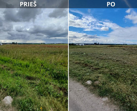 Vejos pjovimas skarifikavims aeravimas atsėjimas tręšimas. - Apleistų sklypų tvarkymas - 2 Apleistų sklypų tvarkymas - Vejos pjovimas skarifikavims aeravimas atsėjimas tręšimas. - 2