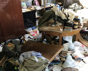 Visų rūšių šiukšlių isvežimas / Visų rūšių šiukšlių isvežimas / Darbų pavyzdys ID 3899786