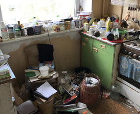 Visų rūšių šiukšlių isvežimas / Visų rūšių šiukšlių isvežimas / Darbų pavyzdys ID 3899782
