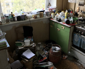 Visų rūšių šiukšlių isvežimas / Visų rūšių šiukšlių isvežimas / Darbų pavyzdys ID 3899780