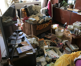 Visų rūšių šiukšlių isvežimas / Visų rūšių šiukšlių isvežimas / Darbų pavyzdys ID 3899778