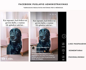 Socialinių tinklų kūrimas, turinys ir administravimas / Karolina Nikolaityte / Darbų pavyzdys ID 3934576