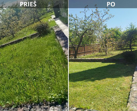 Vejos priežiūra Šiauliuose, Šiaulių rajone - Aplinka, sodas - 4 Aplinka, sodas - Vejos priežiūra Šiauliuose, Šiaulių rajone - 4