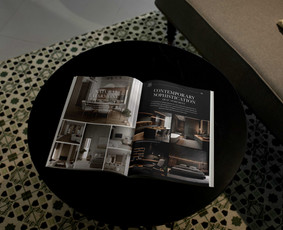 Leidinių maketavimas - Brandingas / Logotipų kūrimas / Web dizainas (Figma) - 2