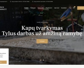 Svetainių ir El. Parduotuvių Kūrimas, Seo, Ads, Ui/ux / Bresmedia / Darbų pavyzdys ID 3935590