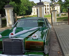 Senovinio Vestuvinio Retro Automobilio Nuoma / Vytautas / Darbų pavyzdys ID 3935750